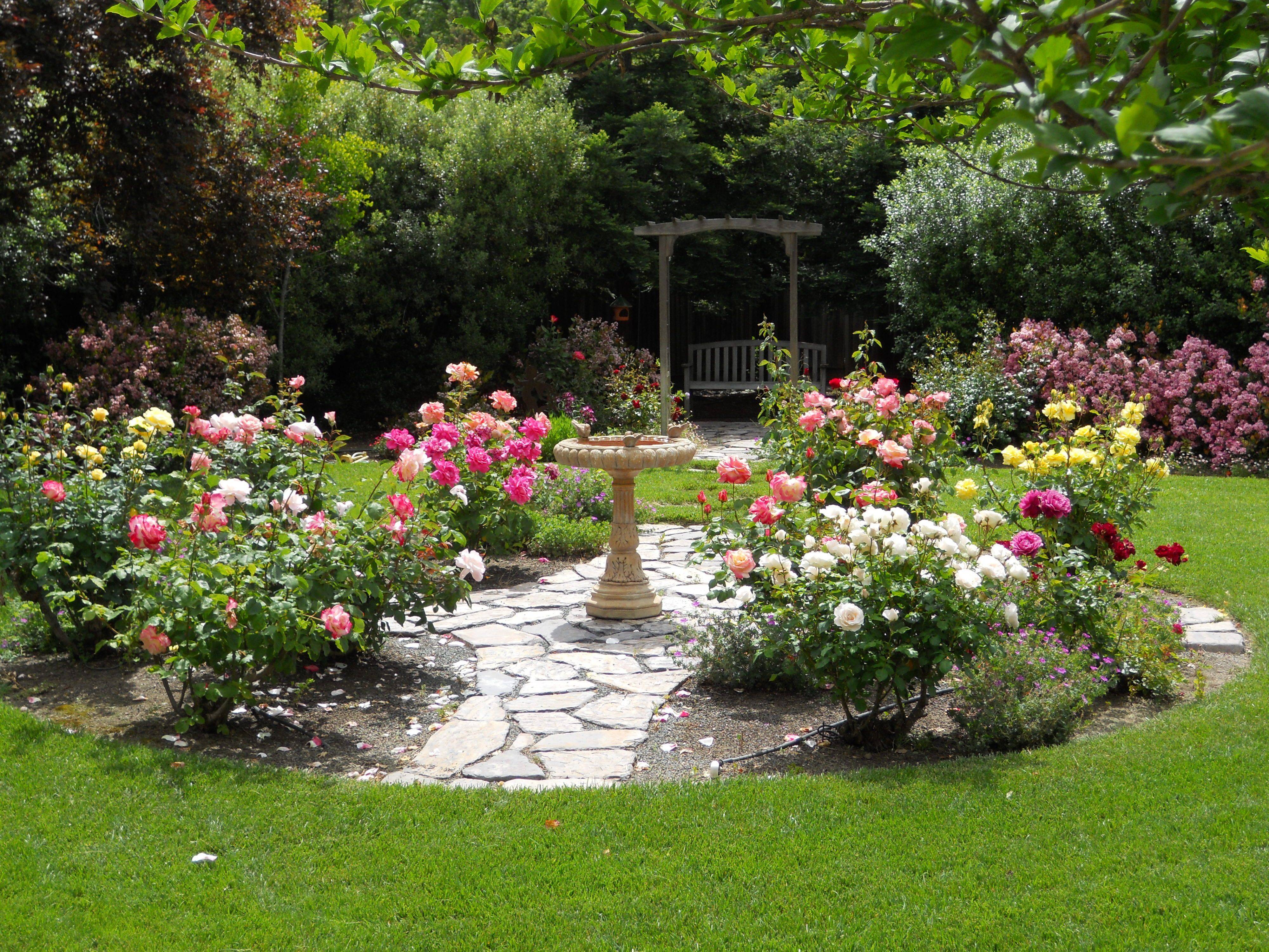 Small Rose Garden Design Ideas