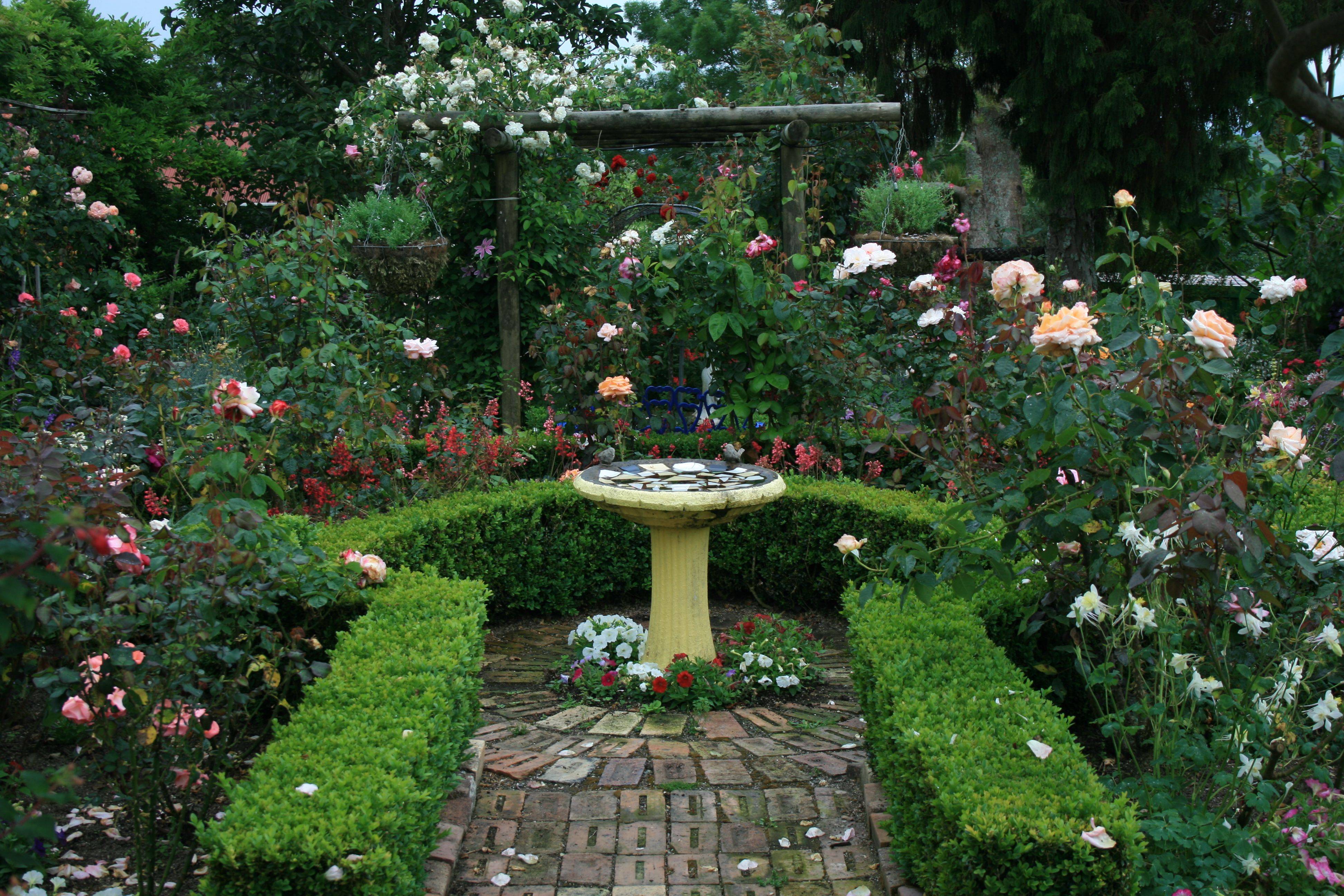 Beautiful Formal Rose Garden David Austin Roses