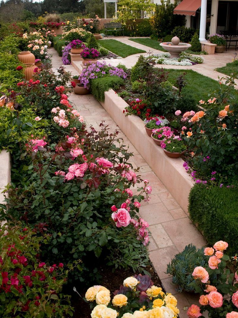 Formal English Rose Garden