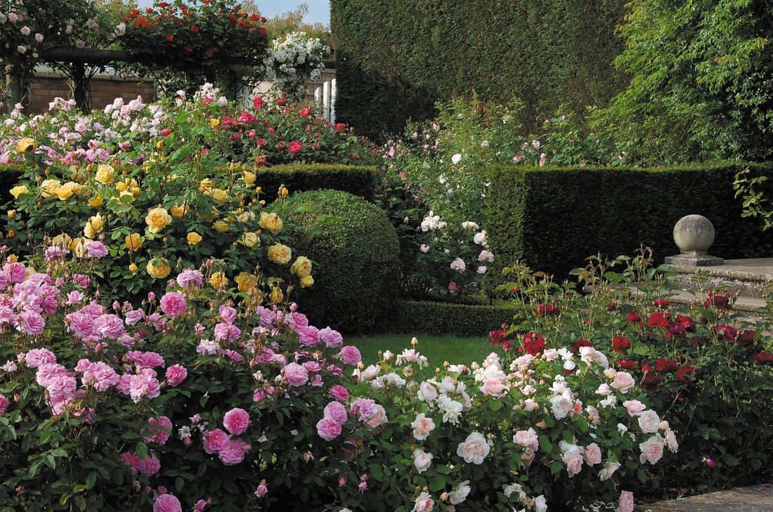 Formal Perennial Garden Images