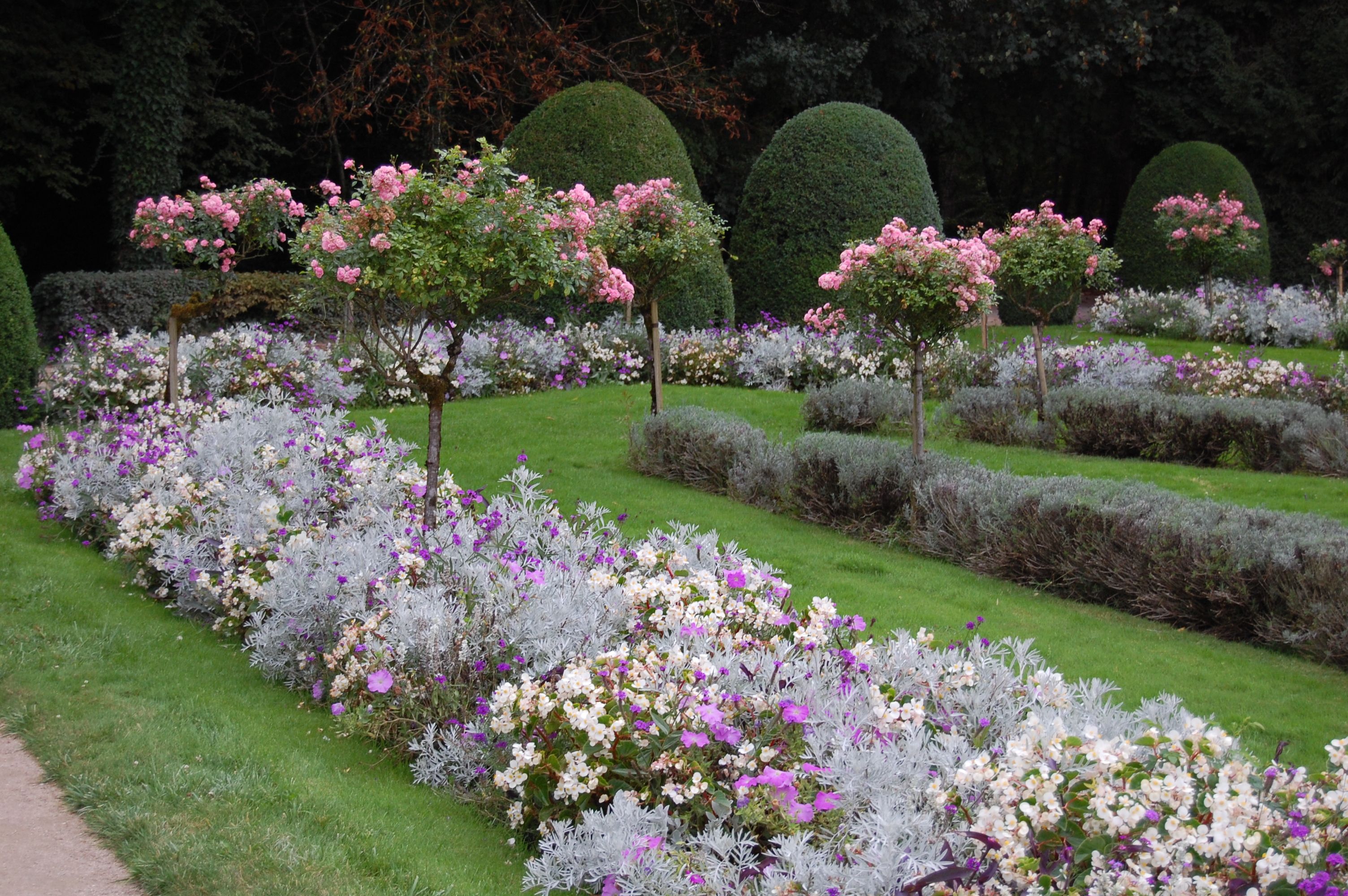 Formal Rose Garden Michael Glassman