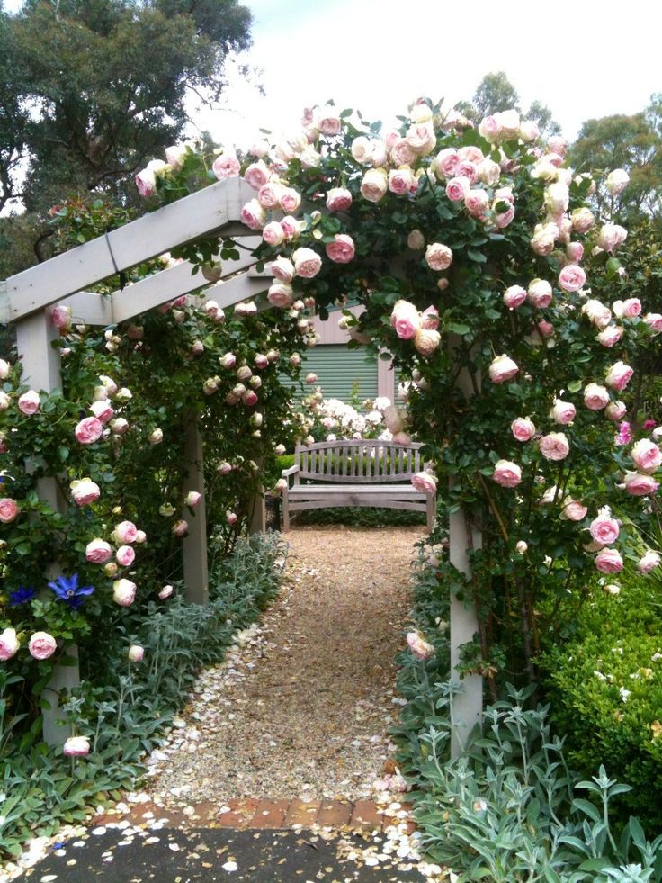 Rose Trellises Quiet Corner