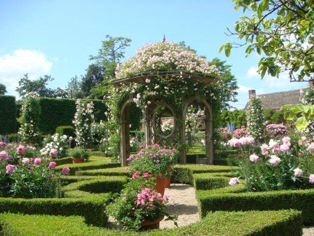 Cottage Garden