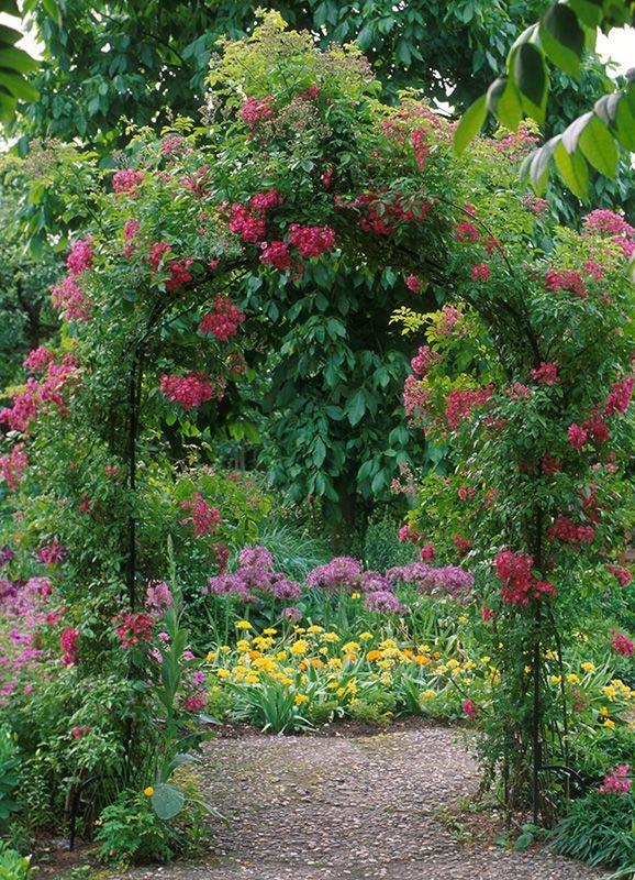 Rose Gardens
