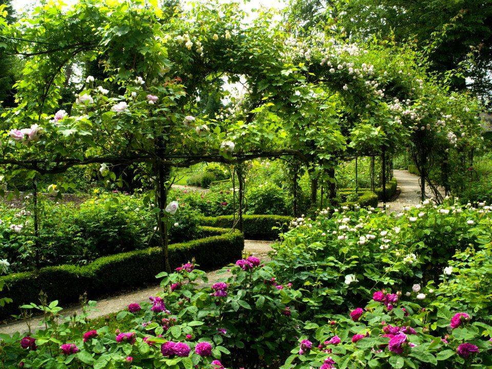 Victorian Garden Design Ludwigs Roses