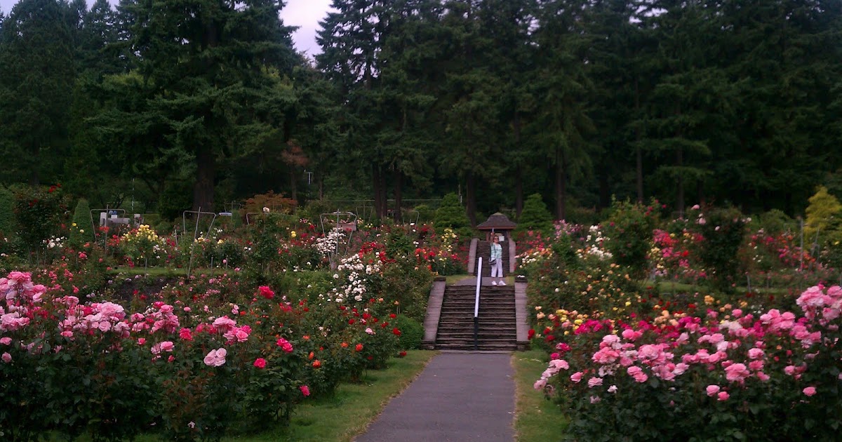 International Rose Test Garden Trimet