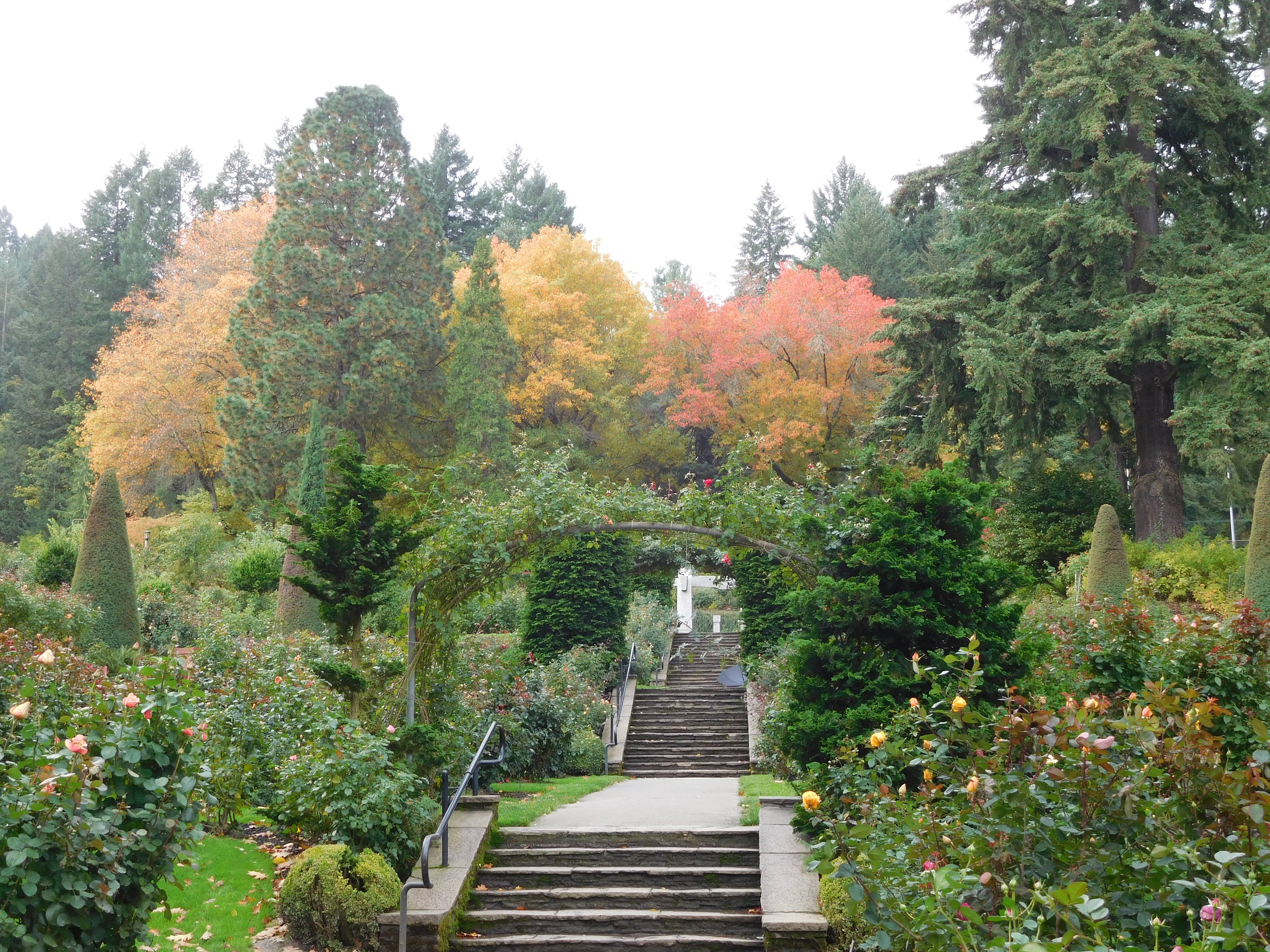 International Rose Test Garden