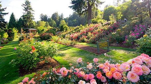 International Rose Test Garden Portland
