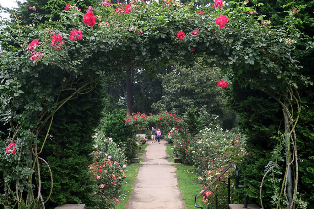 International Rose Test Garden Urban Park