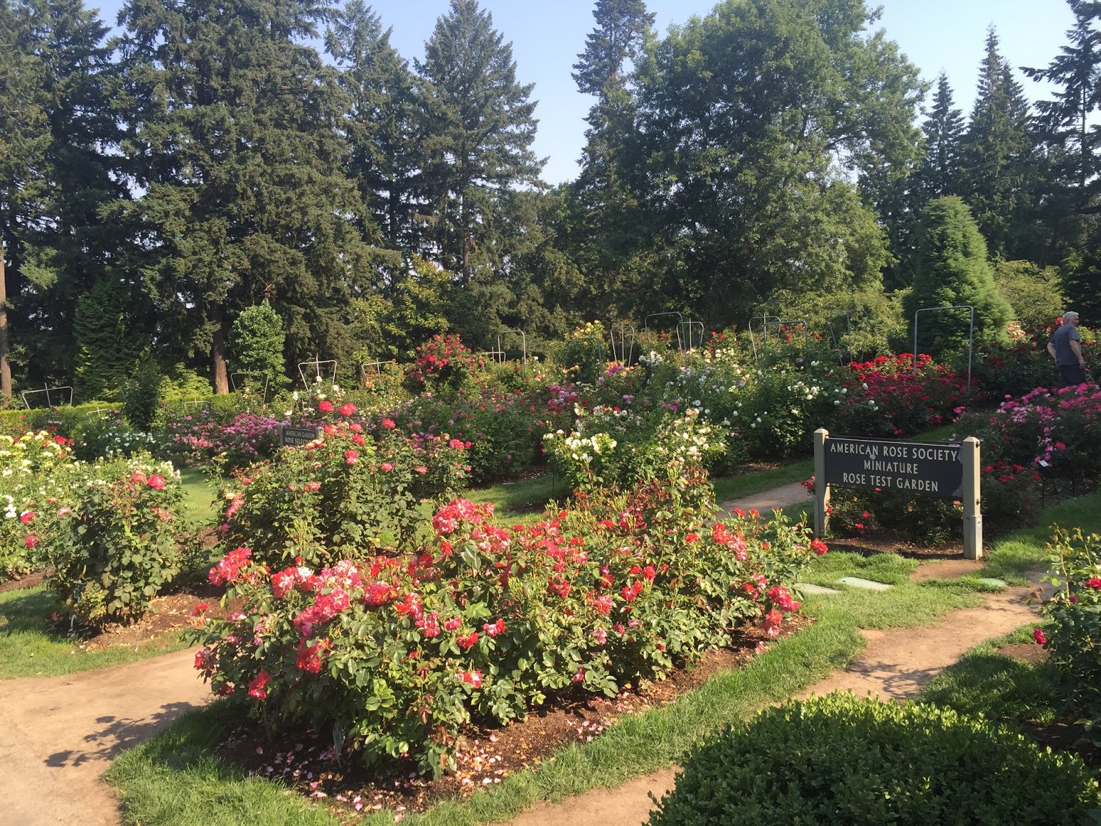 Rose Garden Portland Free