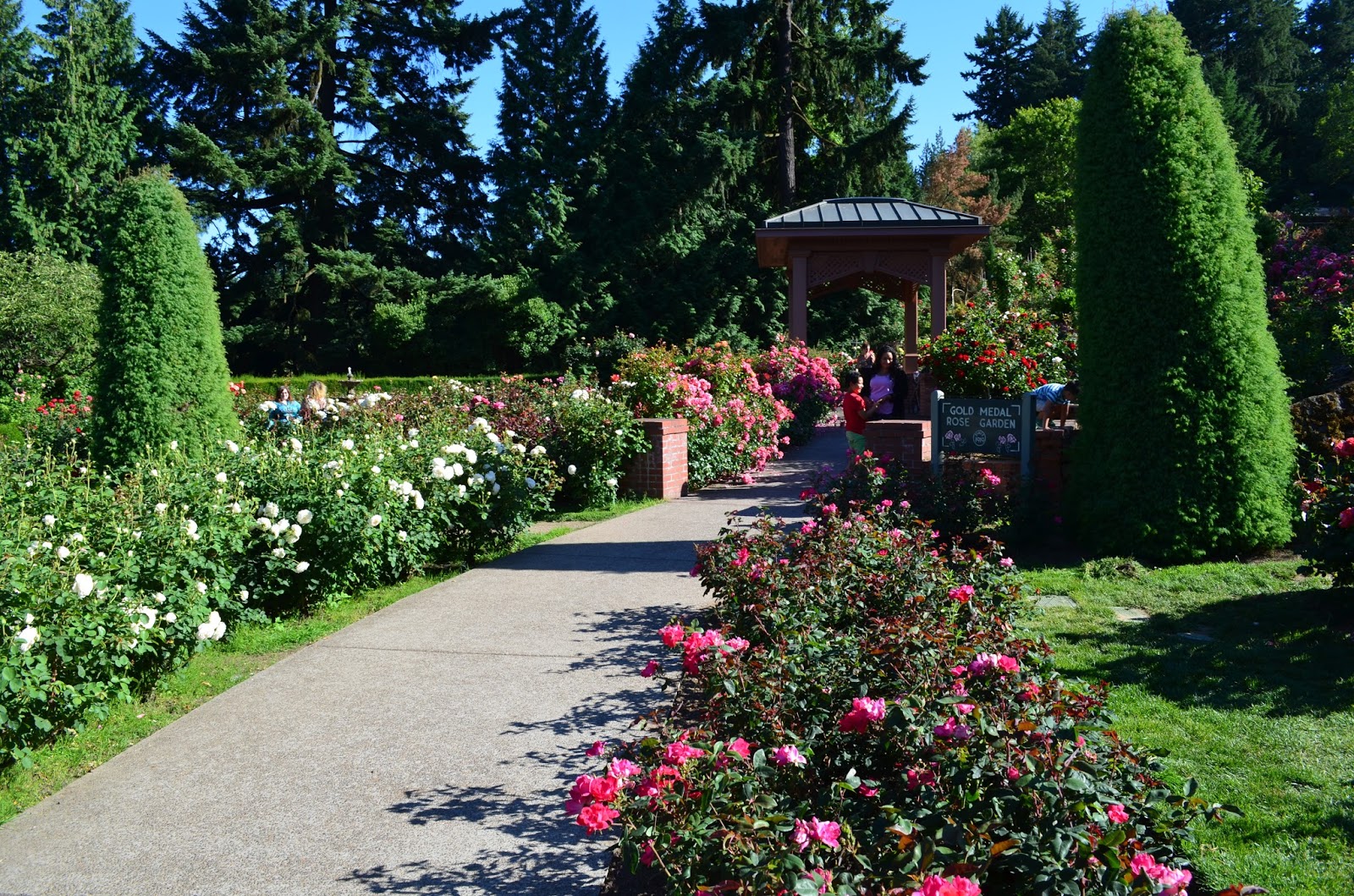 International Rose Garden Portland Oregon