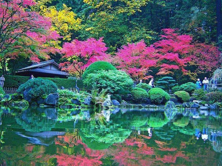 Japanese Rose Garden Portland