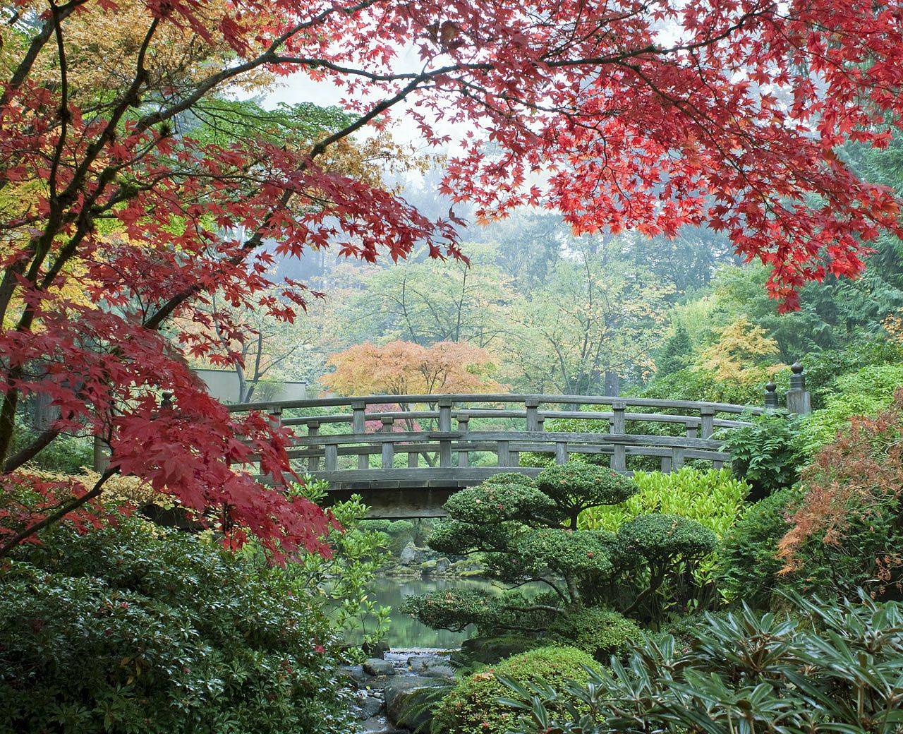 Portland Japanese Garden