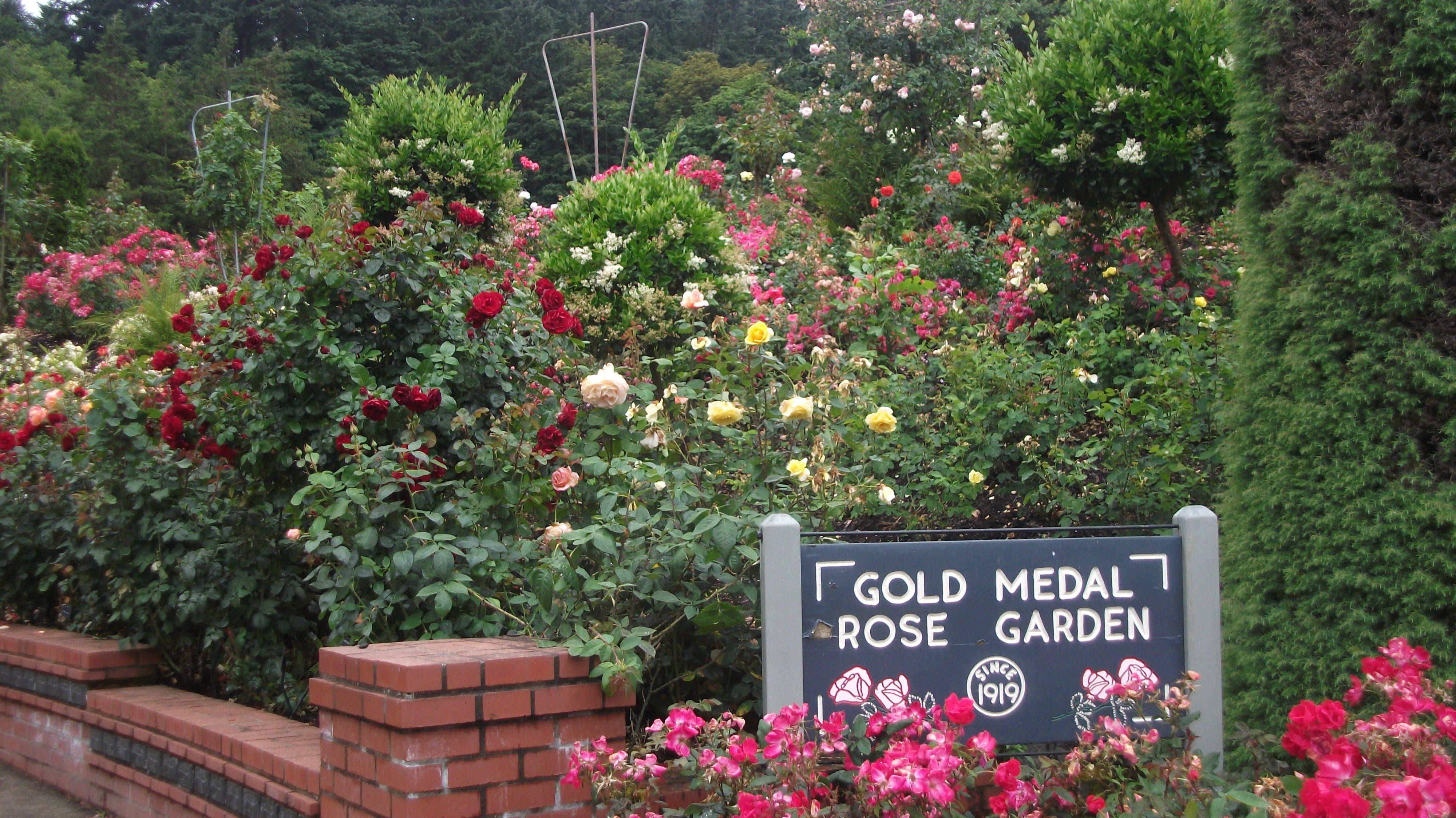 Portland Oregon Rose Garden Portland