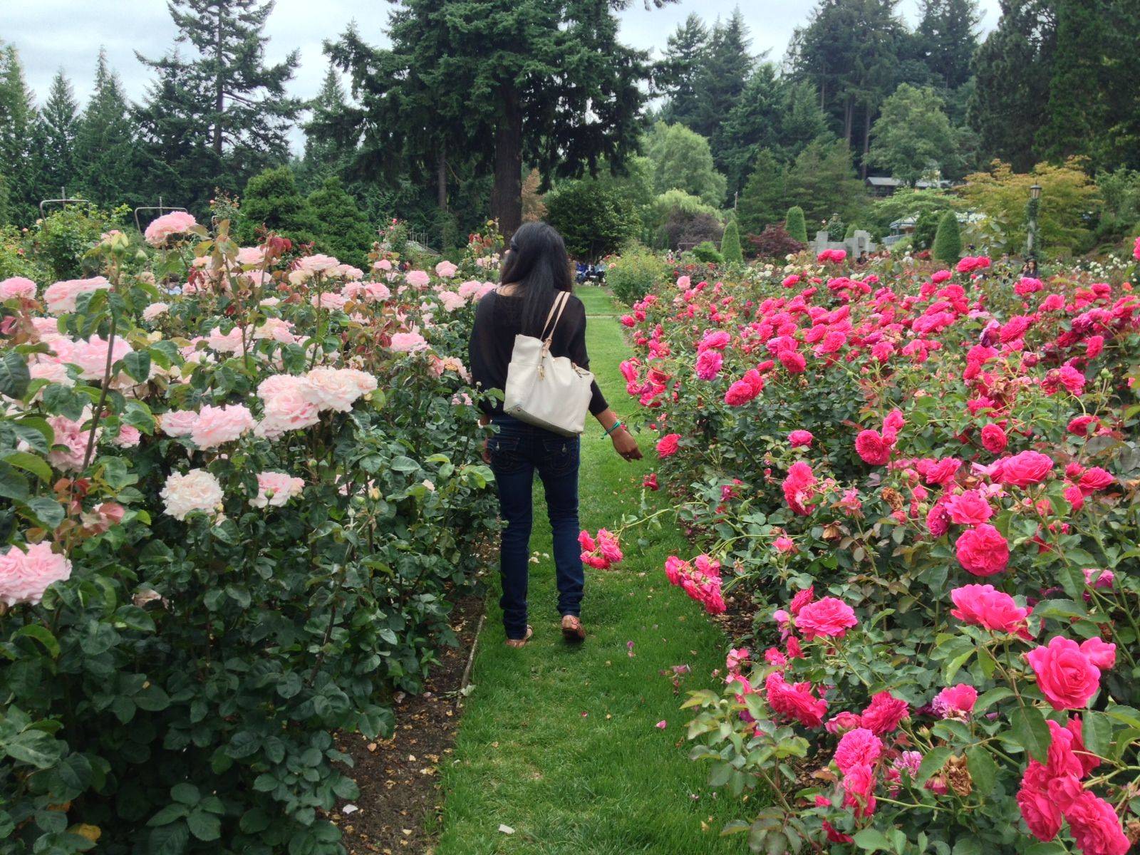 International Rose Test Garden Attractions Travel Leisure