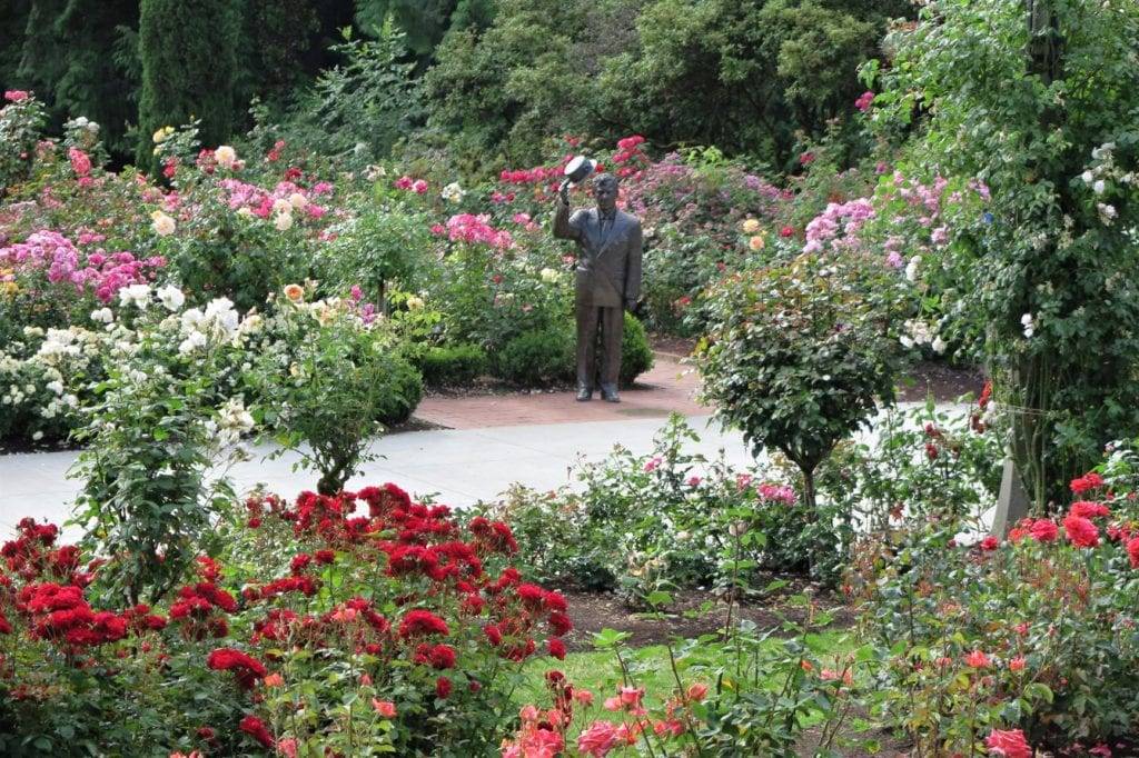 Portland Rose Garden