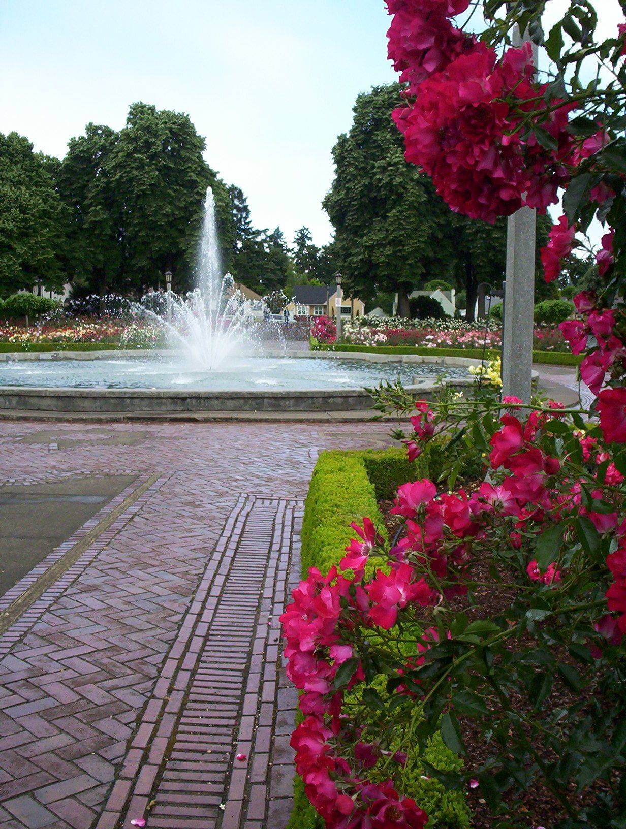 Peninsula Park Outdoor Project