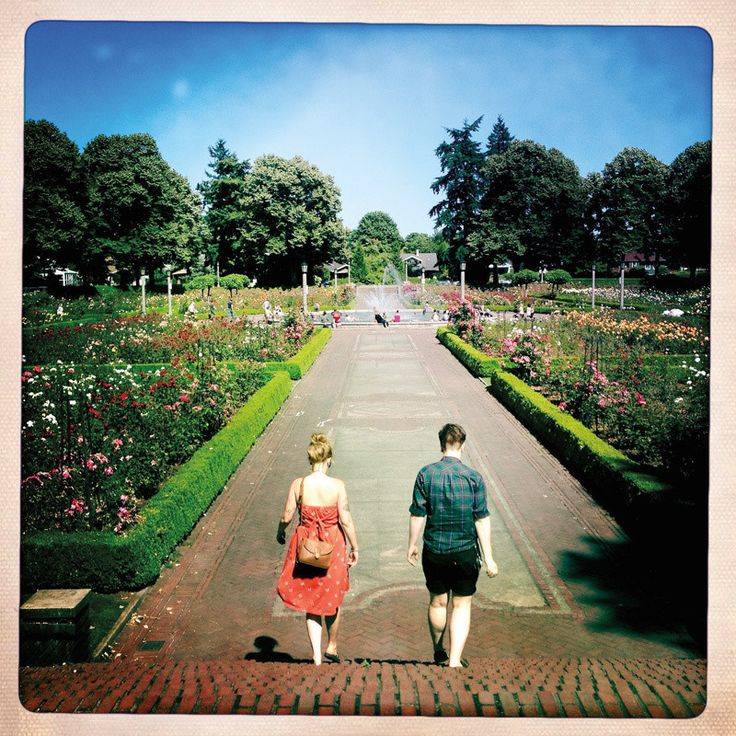 Peninsula Park Rose Garden Piedmont Tips