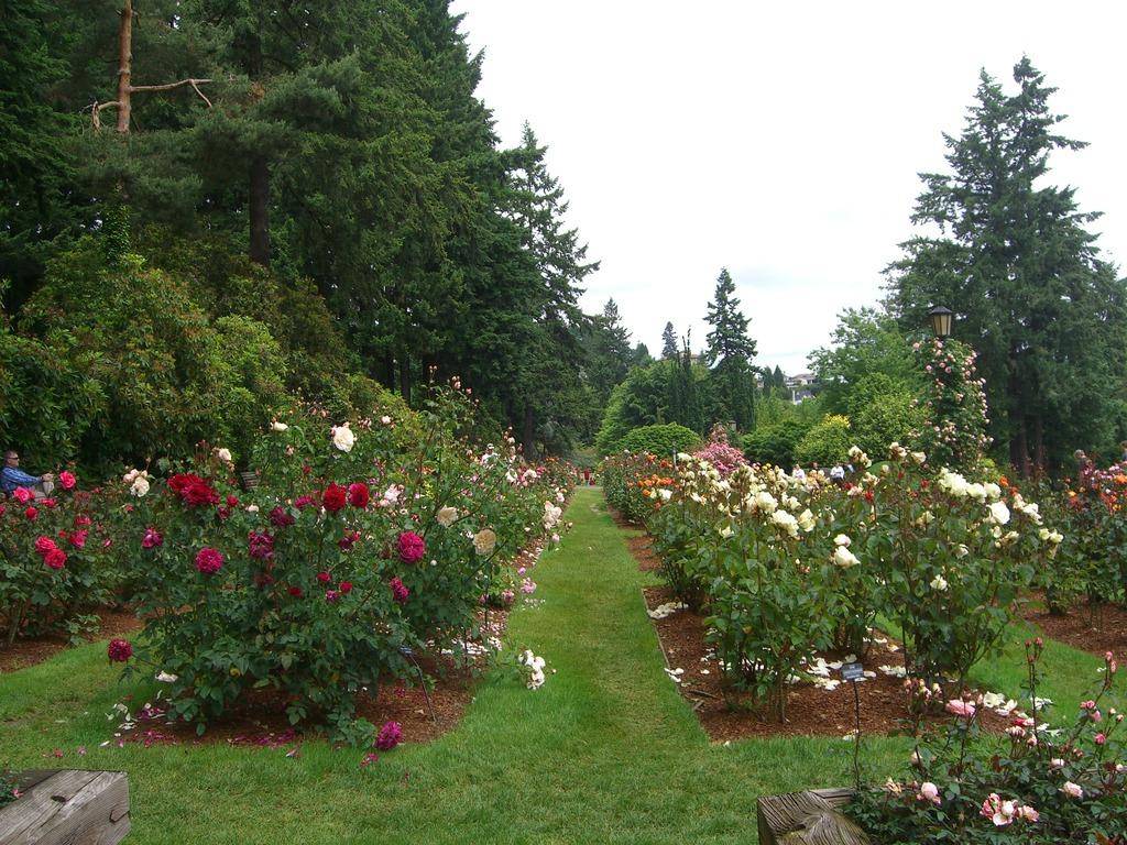 Peninsula Park