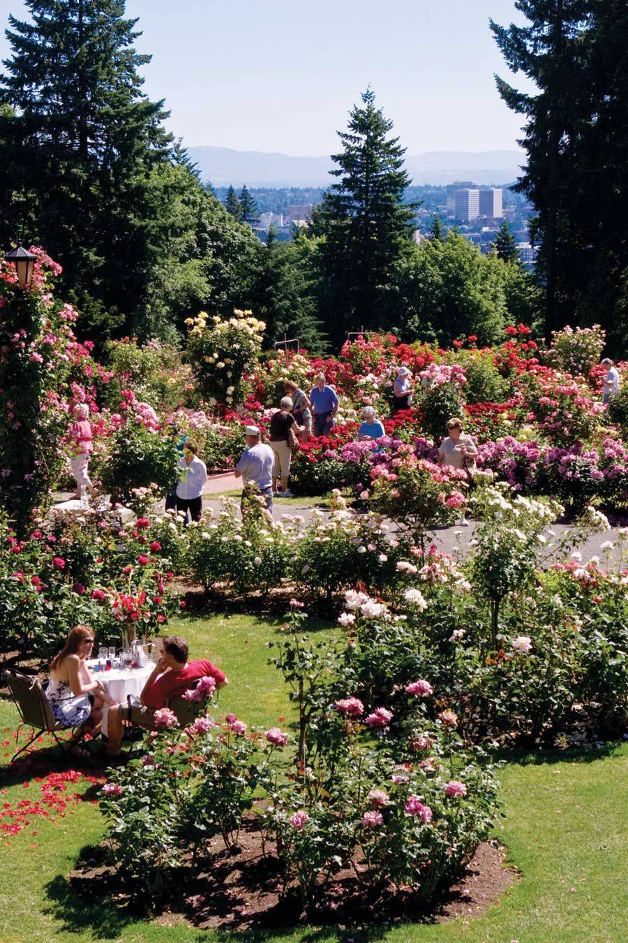 Visit Portlands Attractions