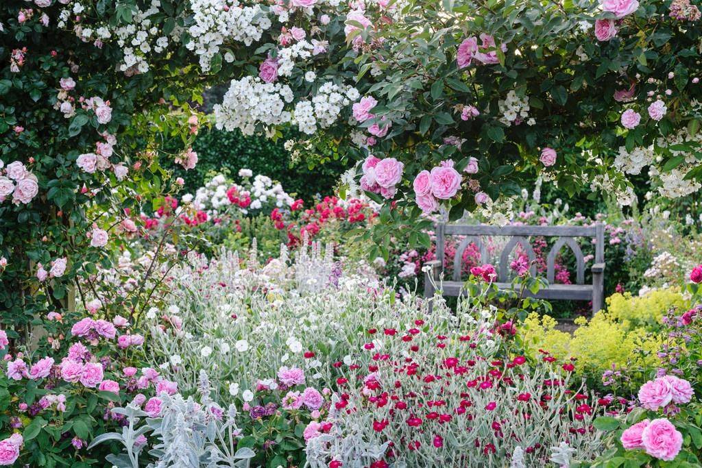 International Rose Test Gardens