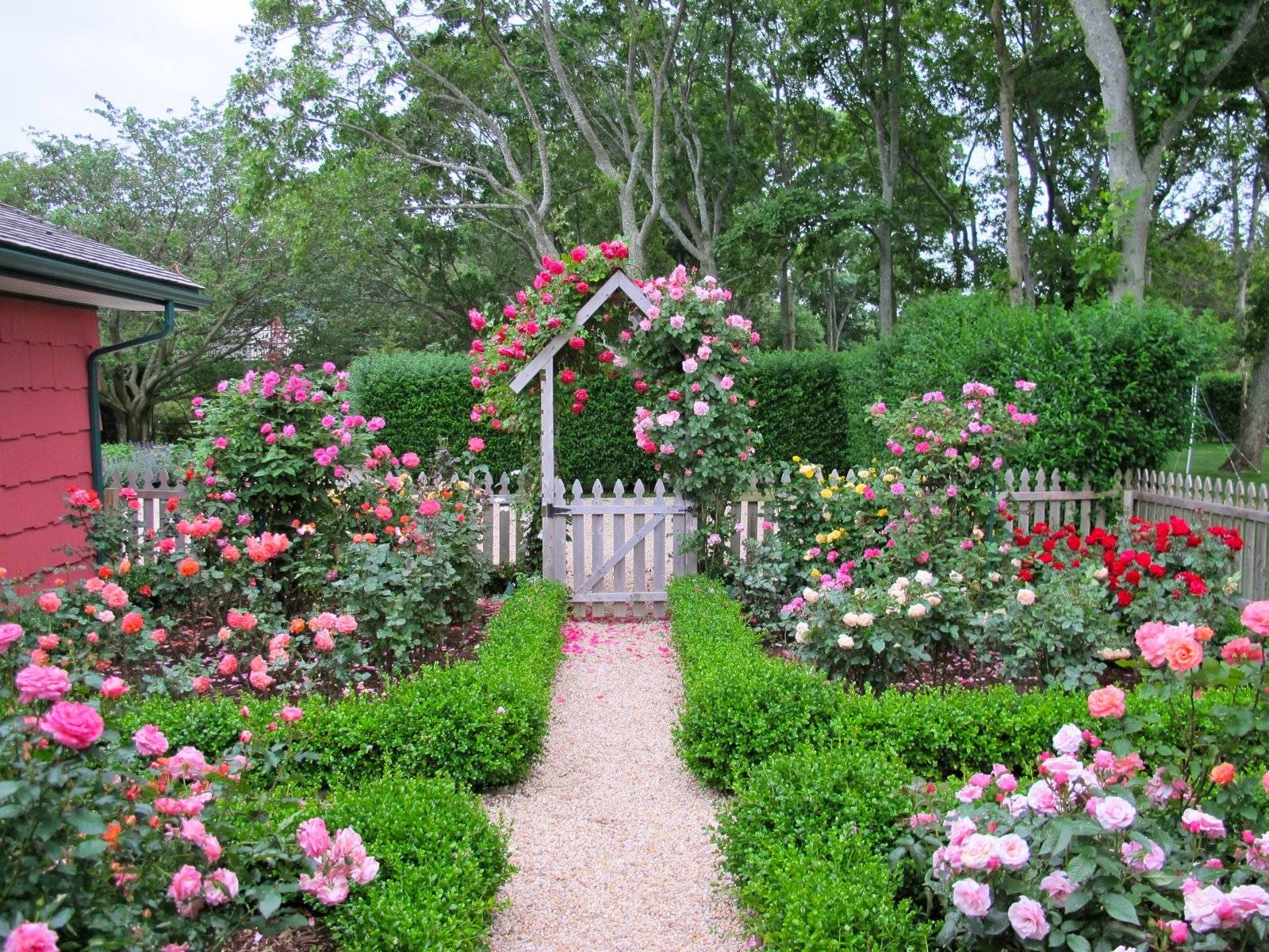 Attractive Beautiful Rose Gardens Photos