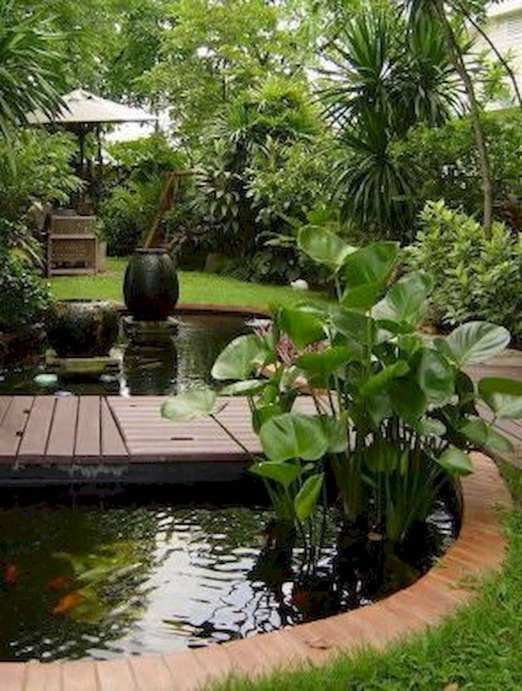 Water Garden Landscaping Ideas Home