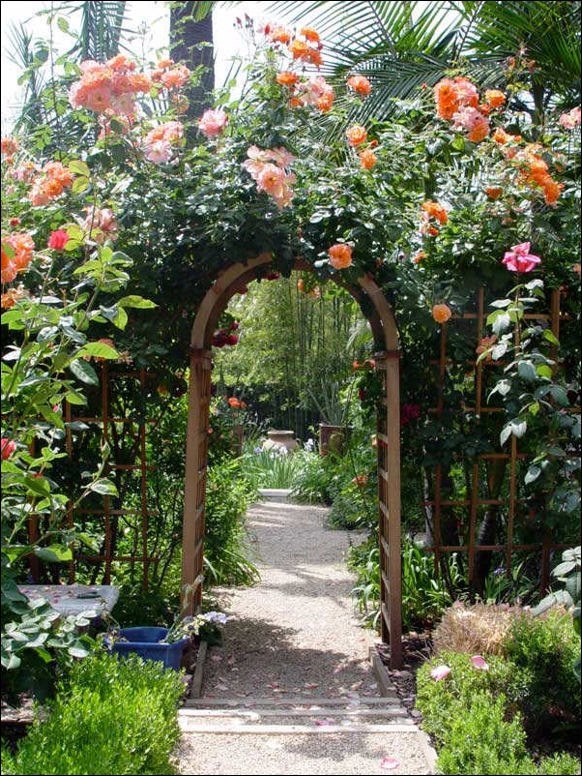 Rose Garden Design