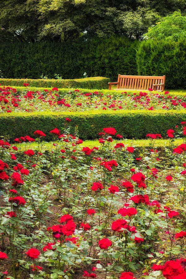 Garden Design Portfolio