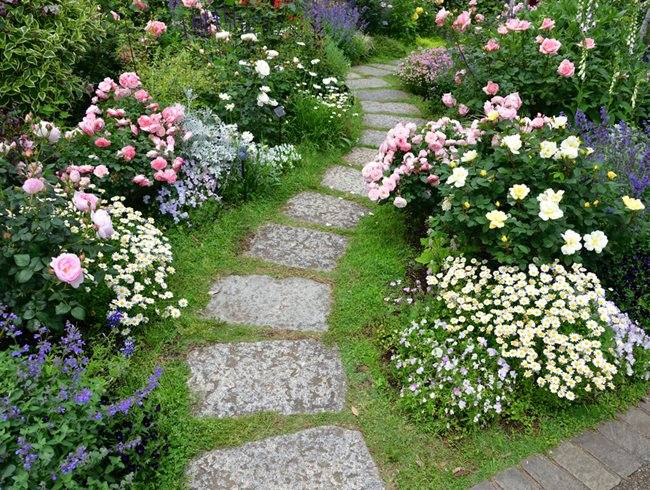 Amazing Backyard Rose Garden Ideas