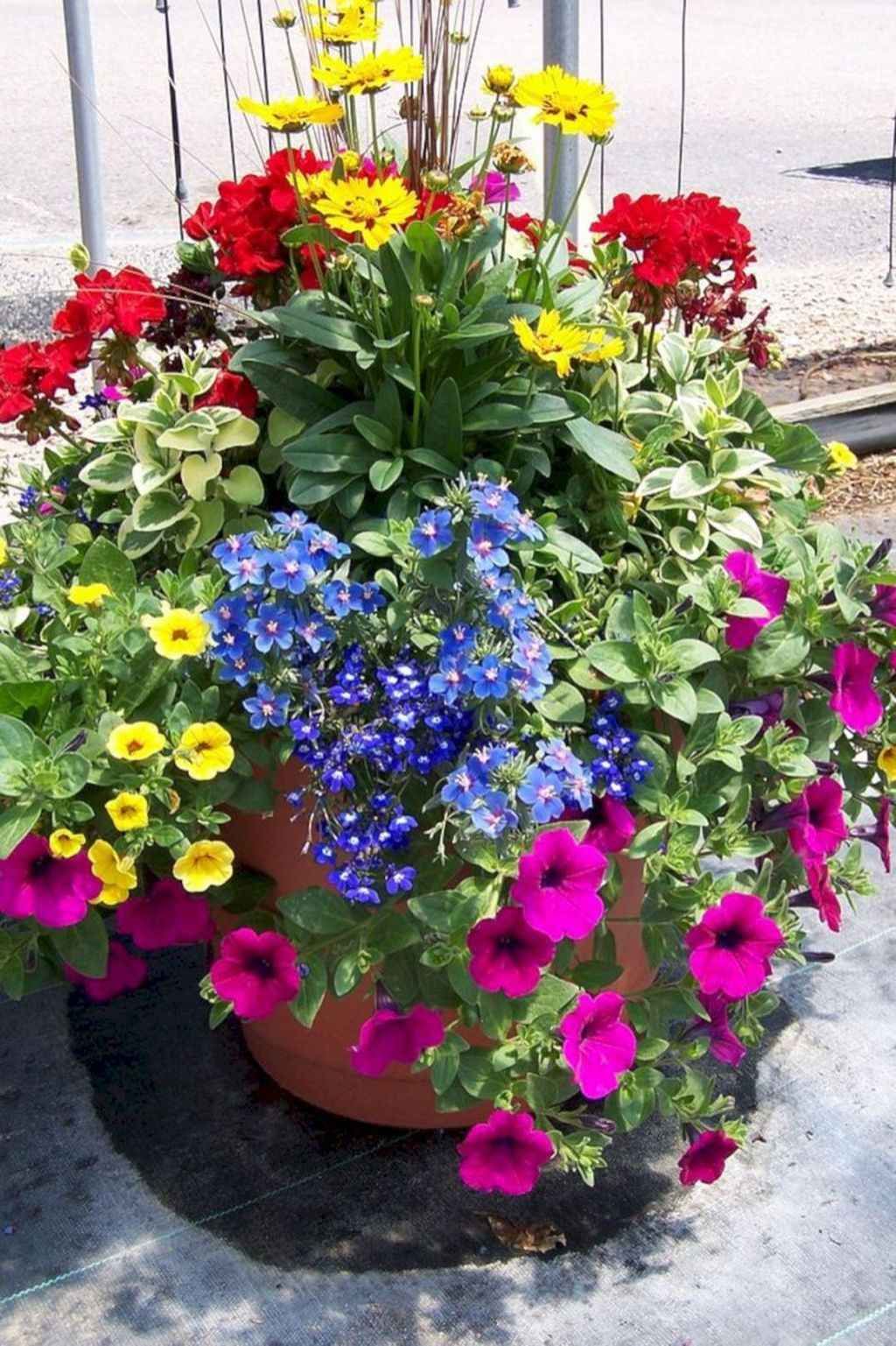 Beautiful Summer Container Garden Flowers Ideas Container Flowers