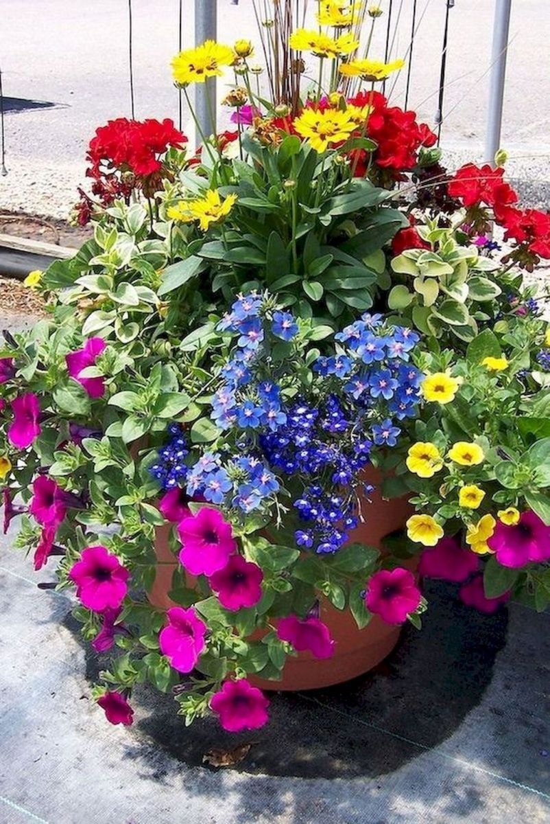 Fresh And Easy Summer Container Garden Flowers Ideas