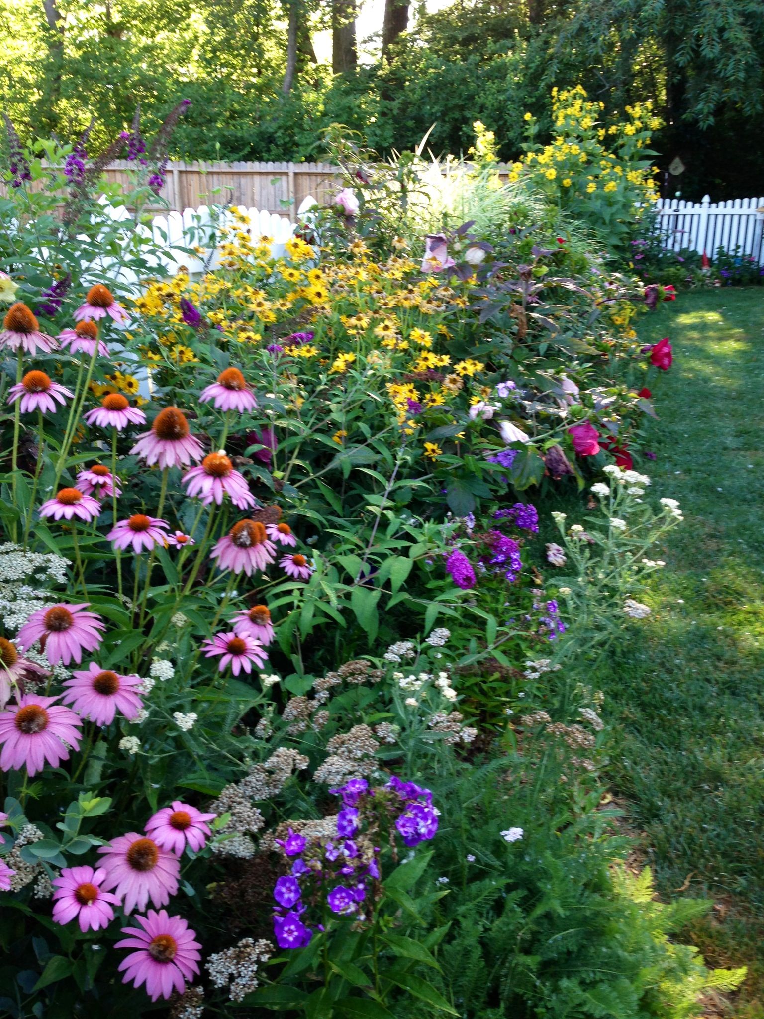 Peaceful Summer Garden Pictures