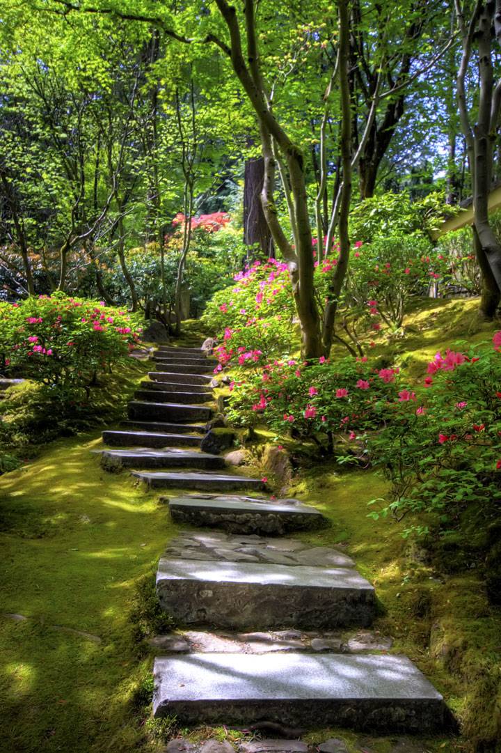Super Cool Backyard Garden Ideas