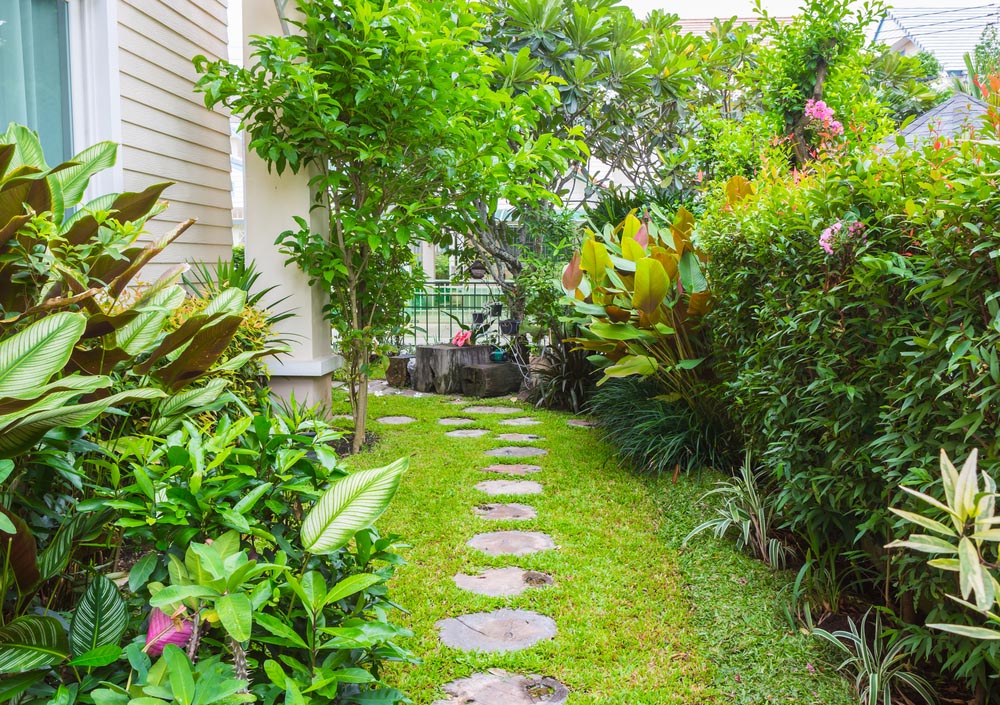 Whimsical Garden Paths