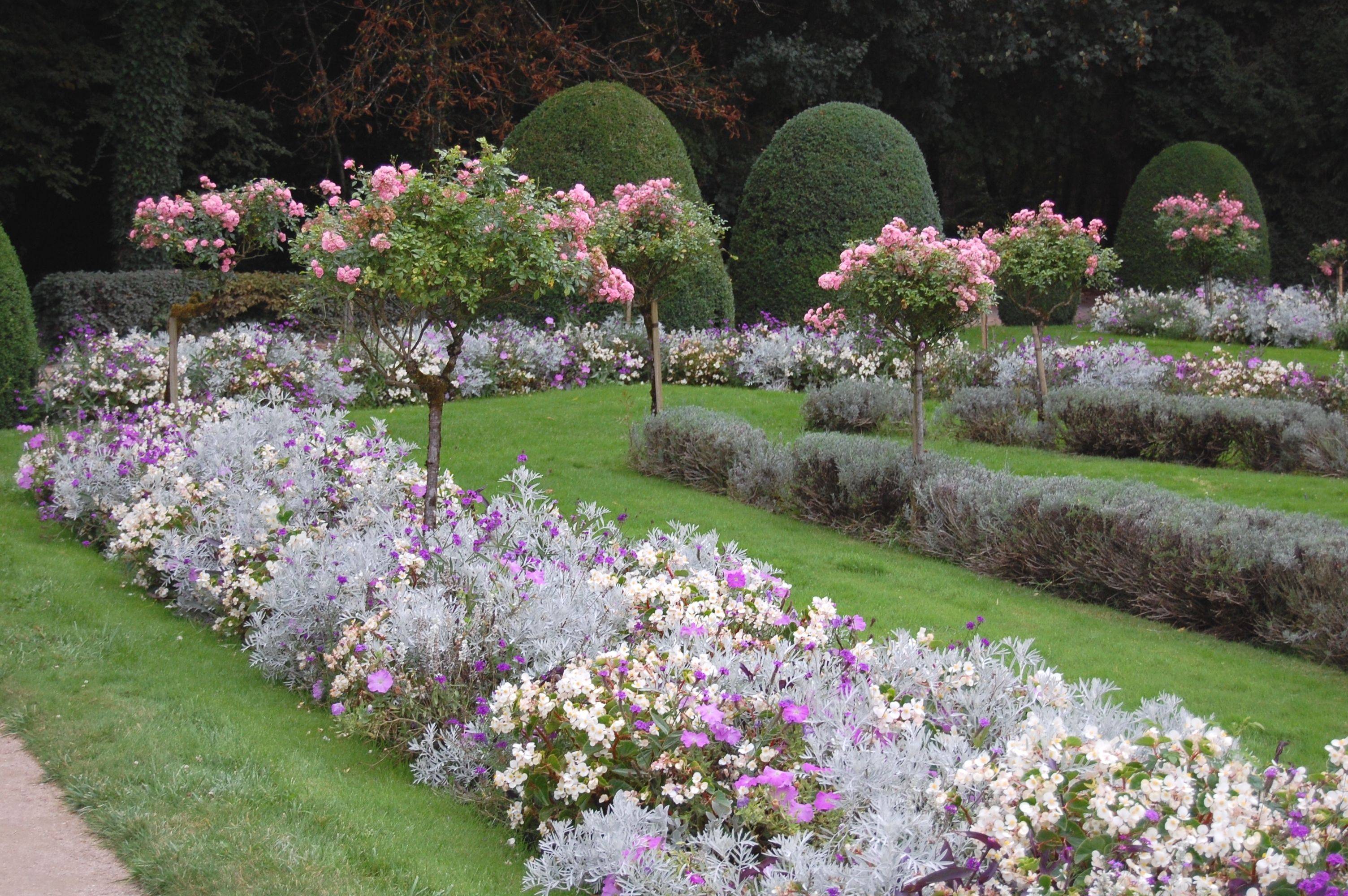 A Rose Garden