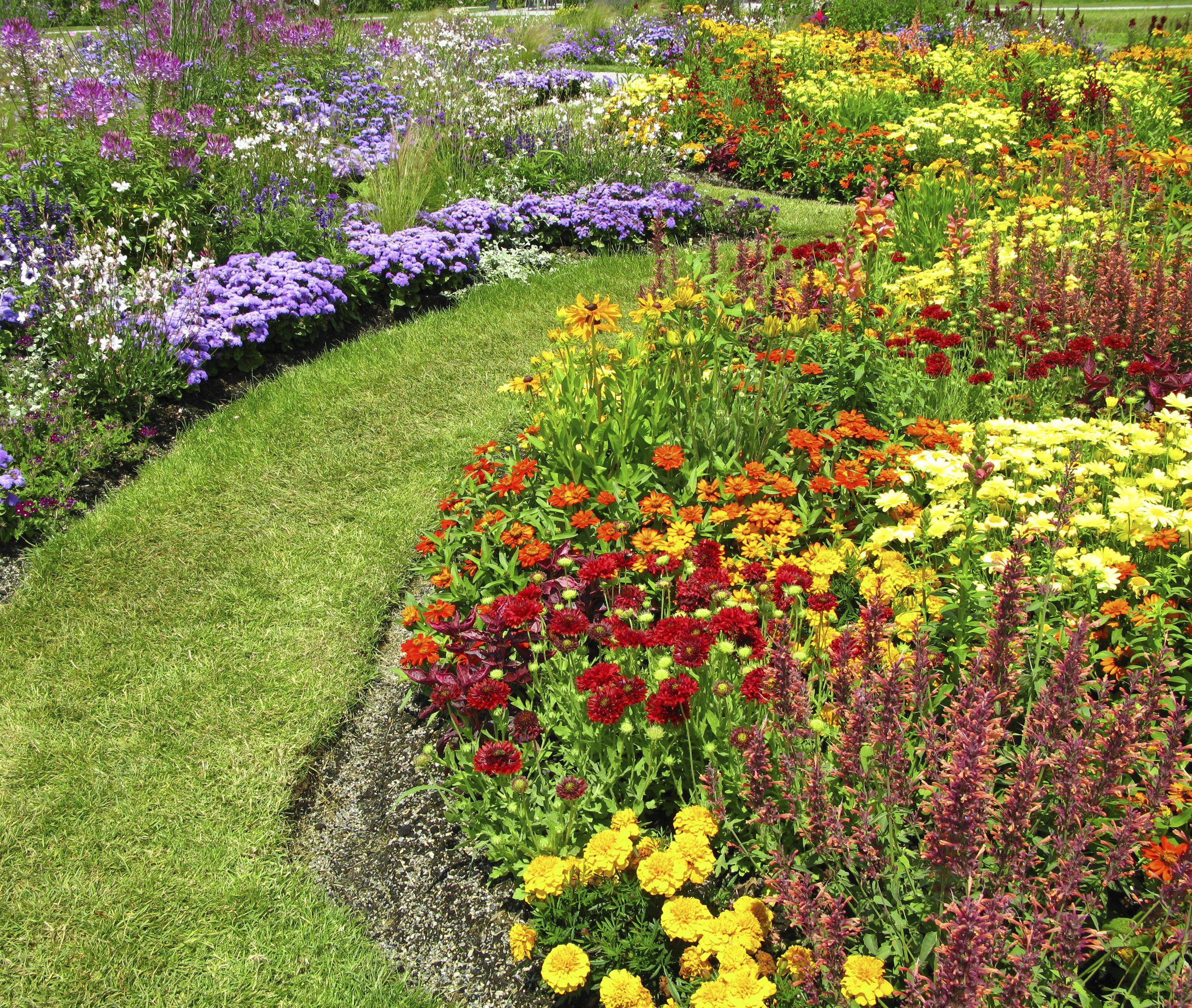 Beautiful And Functional Flower Garden Paths