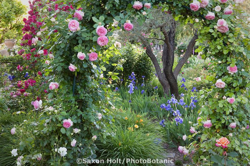 Shabby Chic Garden