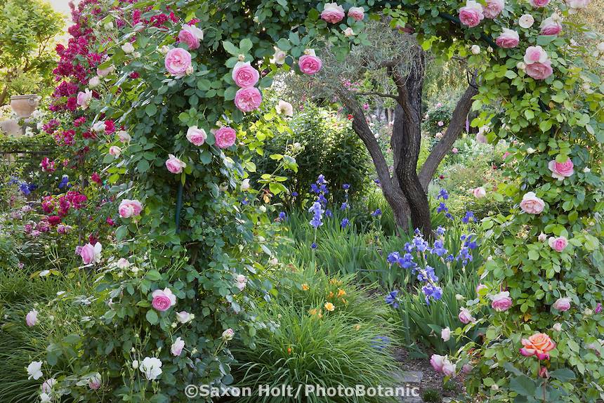 Shabby Chic Garden