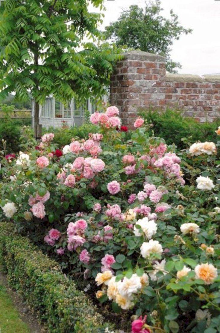 Cottage Garden Design