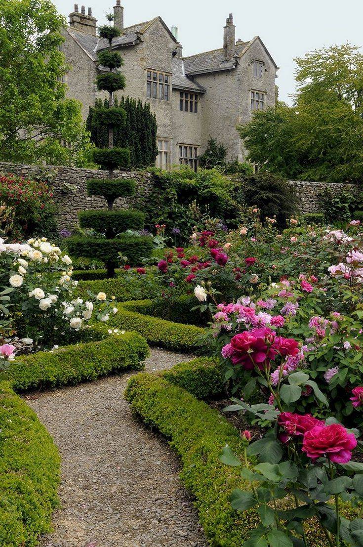 Lush Country Garden