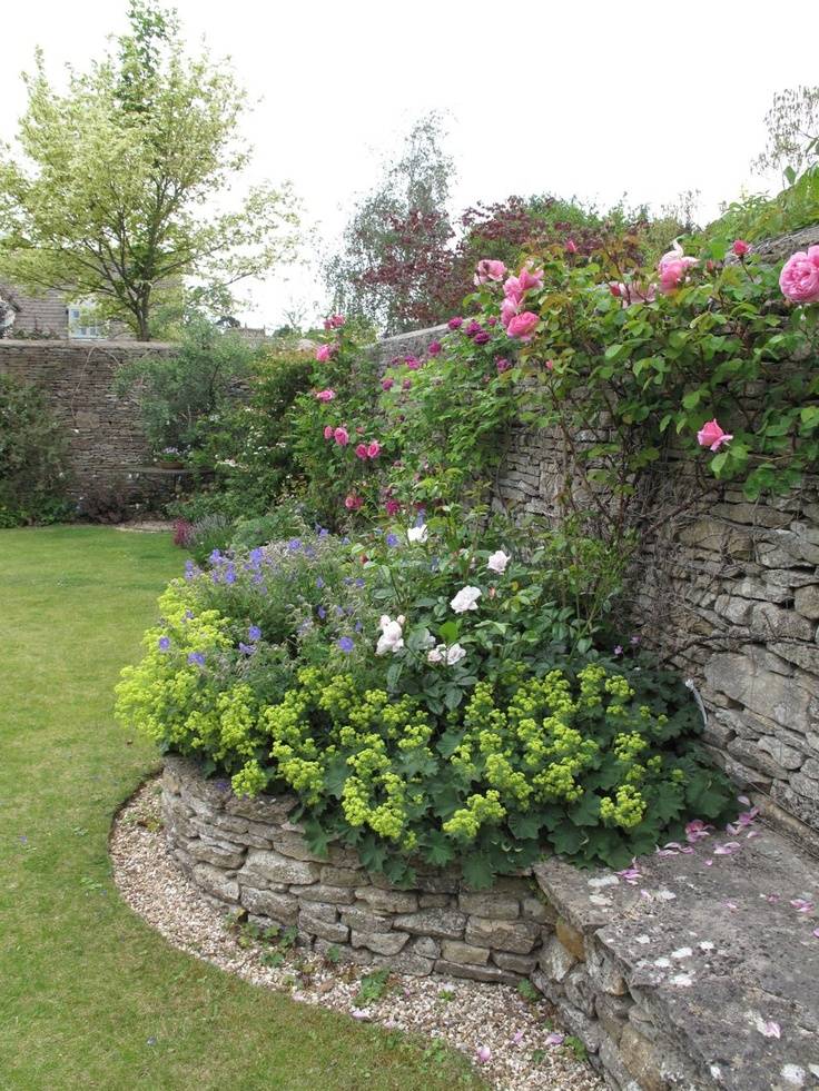 Amazing Backyard Rose Garden Ideas