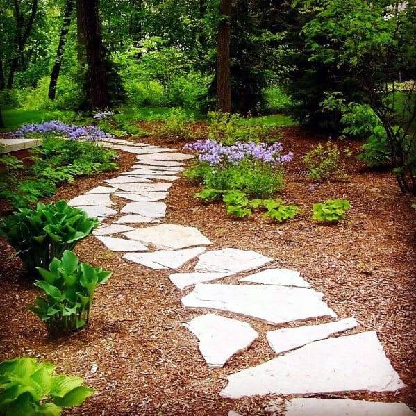 Flowering Ground Cover