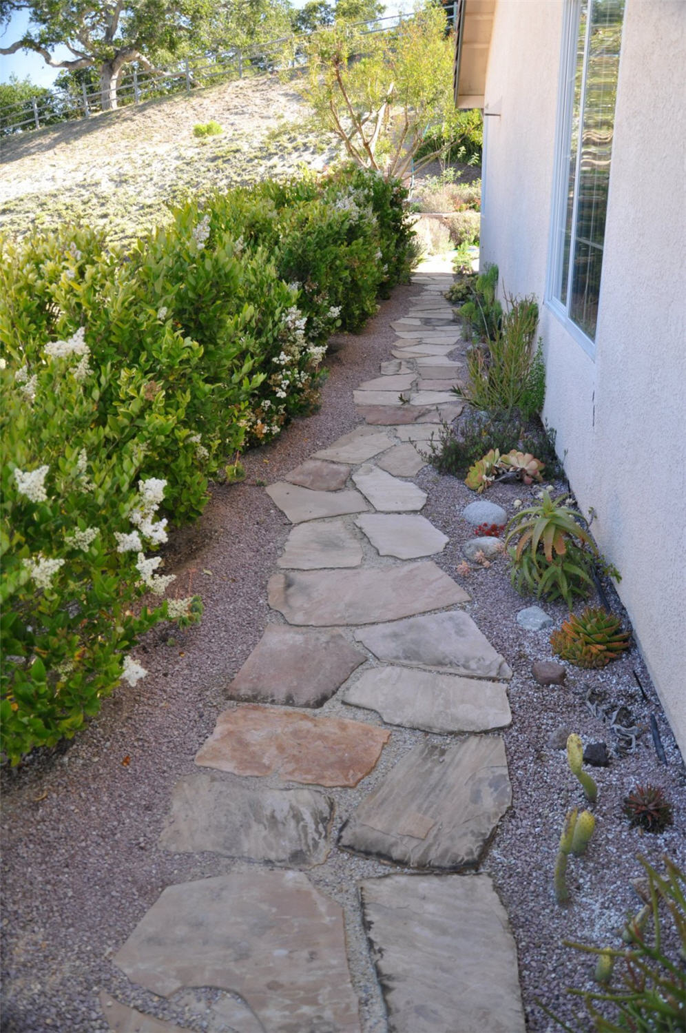 Flagstone Walkway Backyard Landscaping