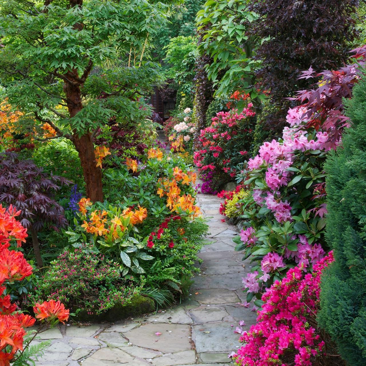 Beautiful Backyard Garden Path
