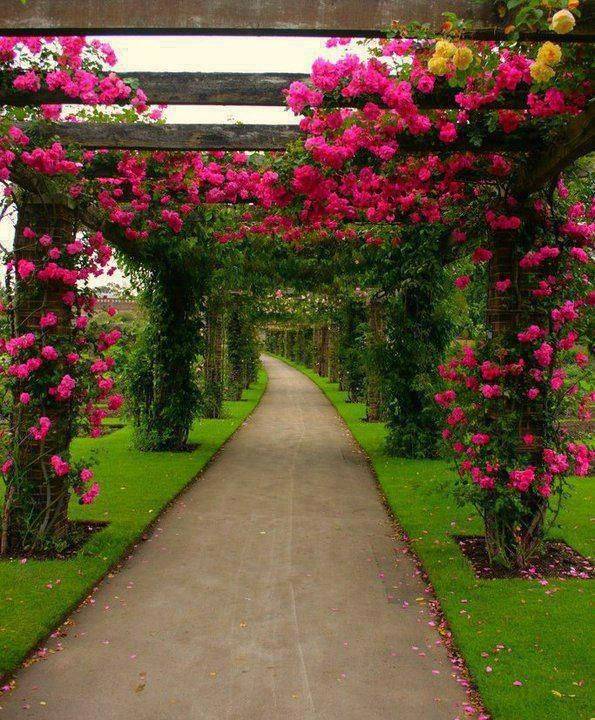 The Ultimate Garden Paths