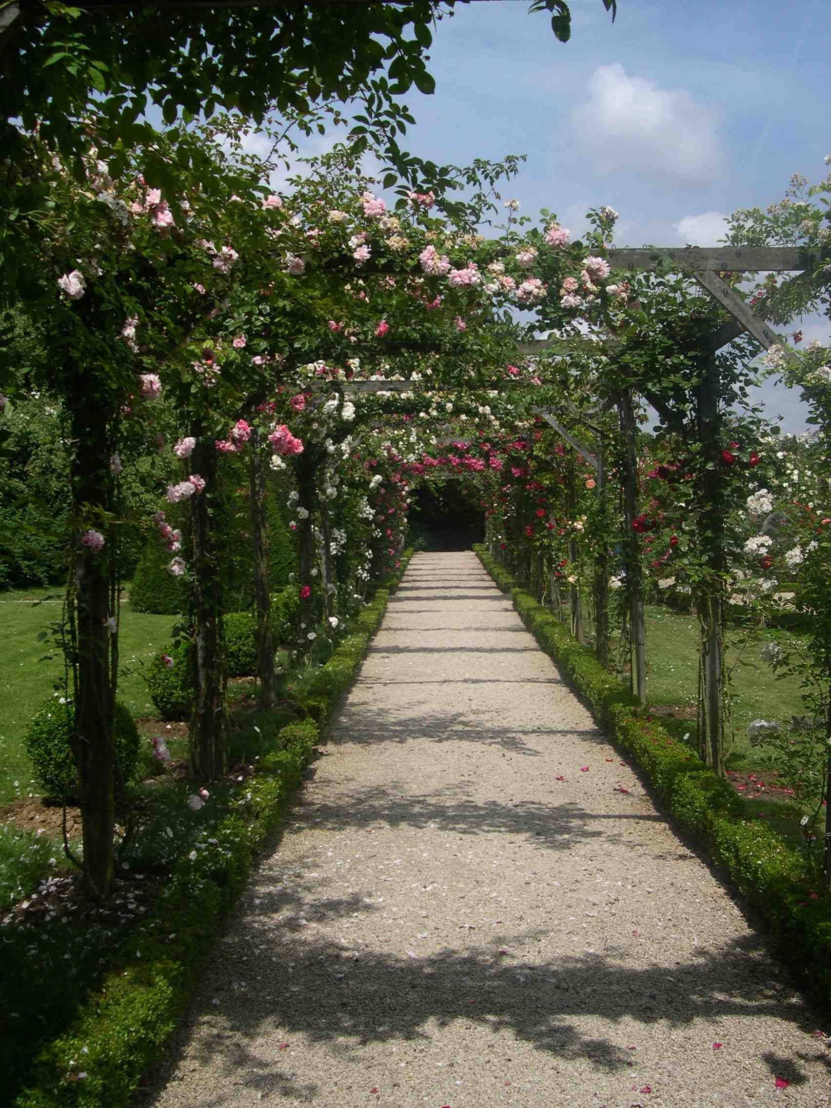Lovely Garden Path And Walkways Design Ideas