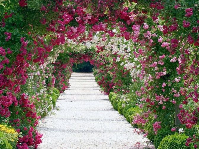 Beautiful Garden Path