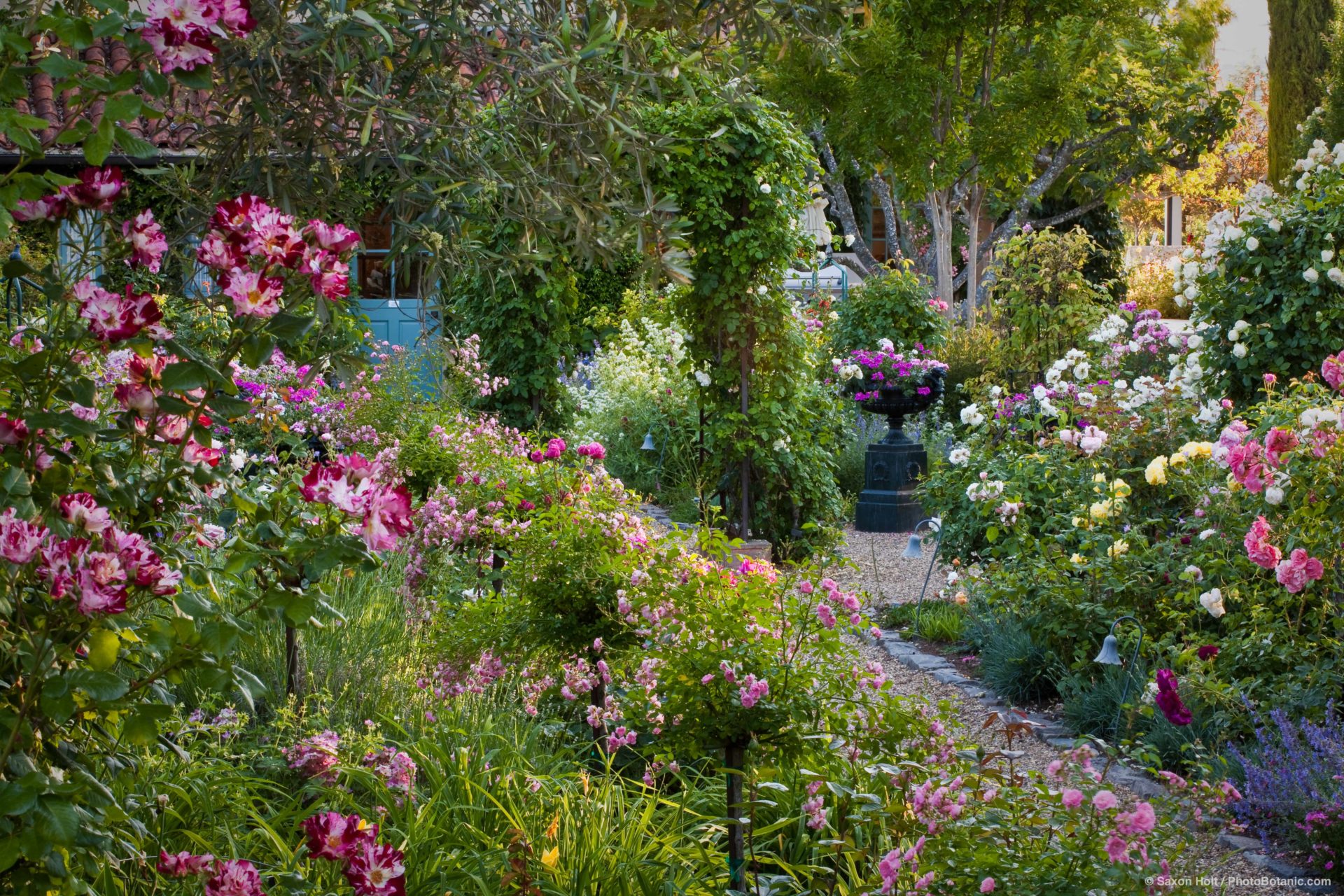 Flower Landscape