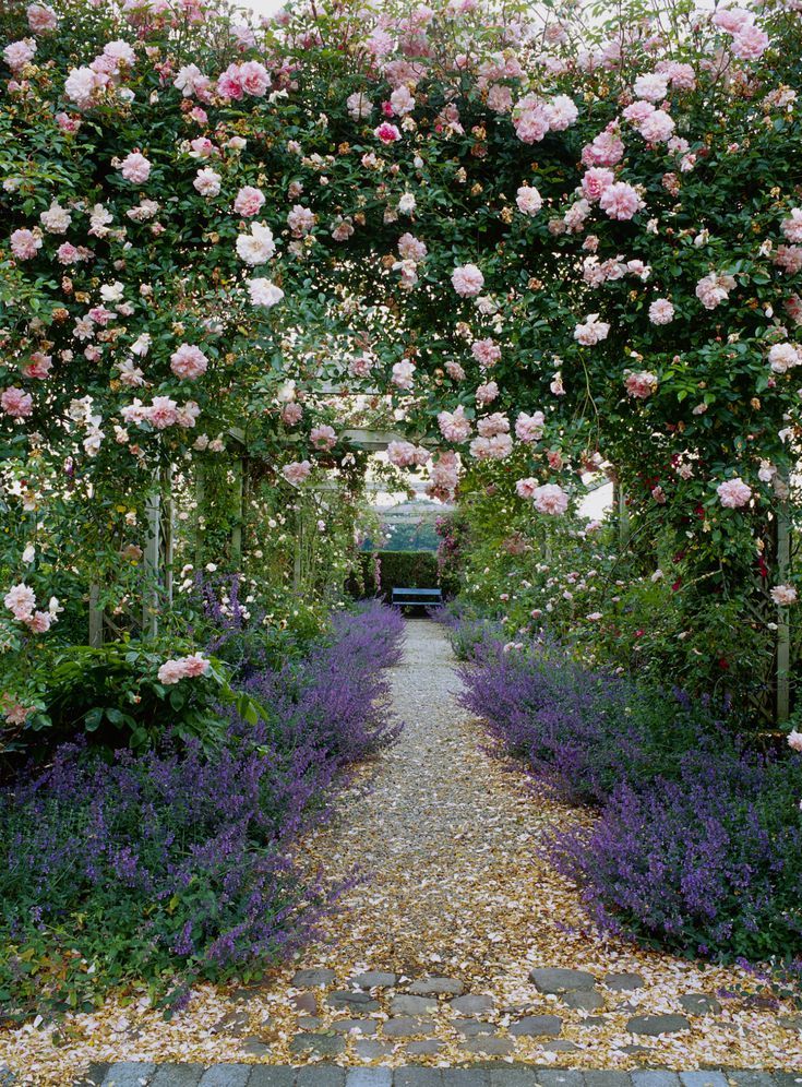 Peony Romantic Cottage Garden Gardening Ideas